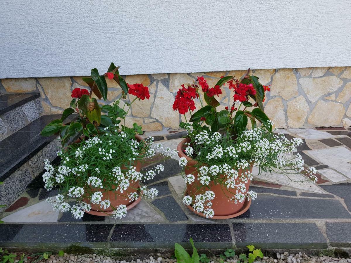 רקוביצה Apartments Sanja מראה חיצוני תמונה